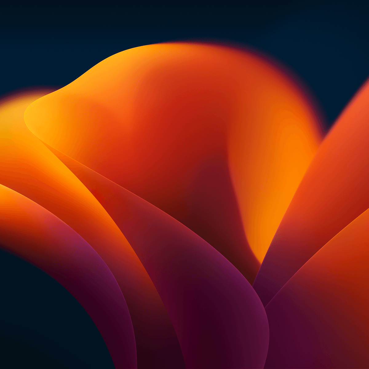 Wallpaper