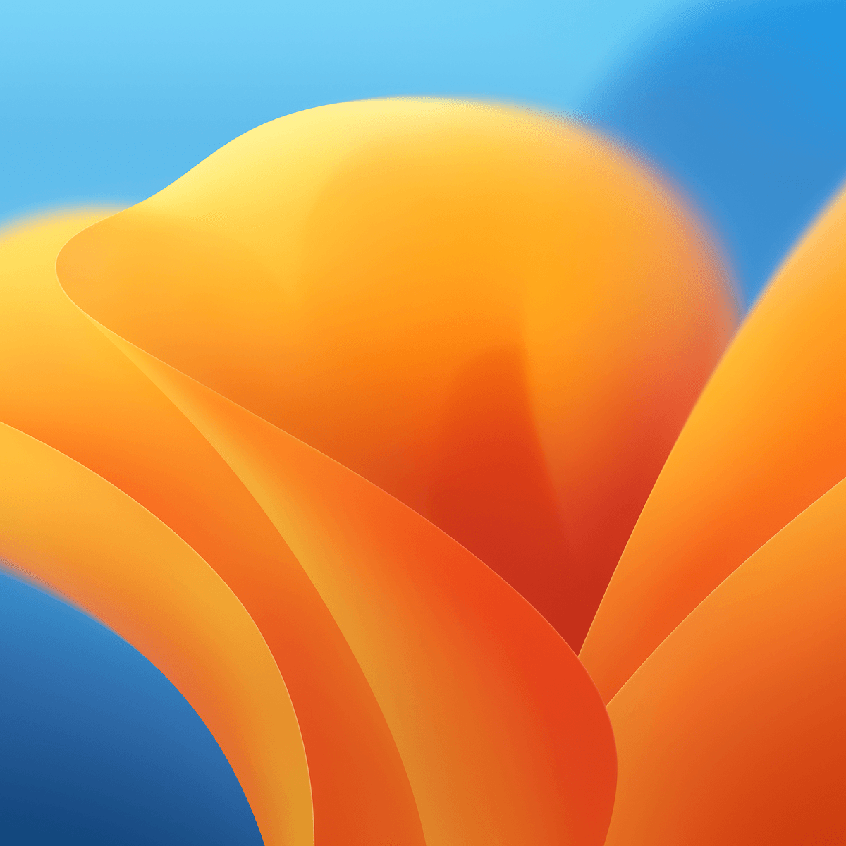 Wallpaper